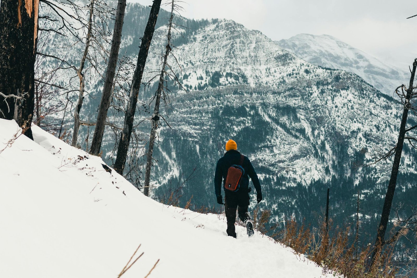 snowshoeing