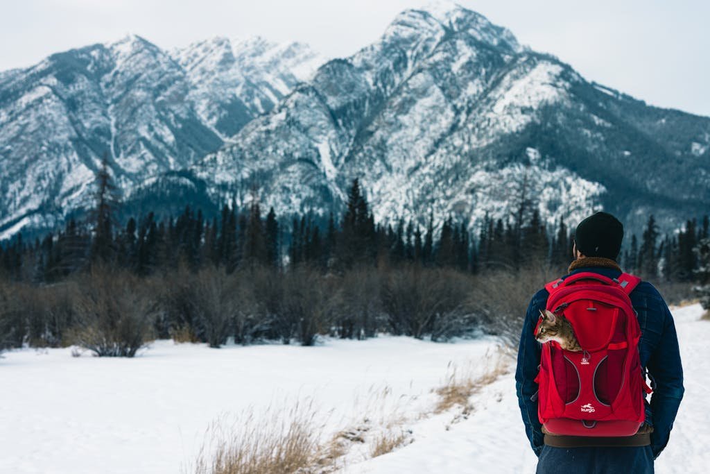 colorado snowshoeing